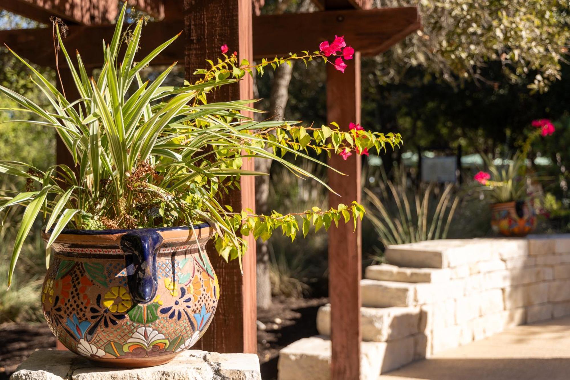Hyatt Vacation Club At Wild Oak Ranch Hotel San Antonio Exterior foto